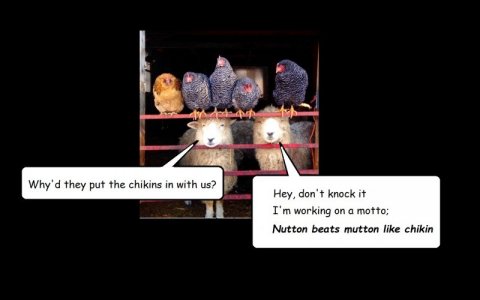 nutton like mutton.jpg