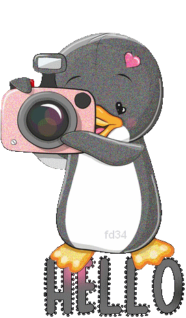 77d33383a4279dffa41d3703412f46e7[1].gif