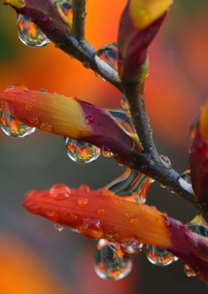Tumblr_l_64276611480755.jpg