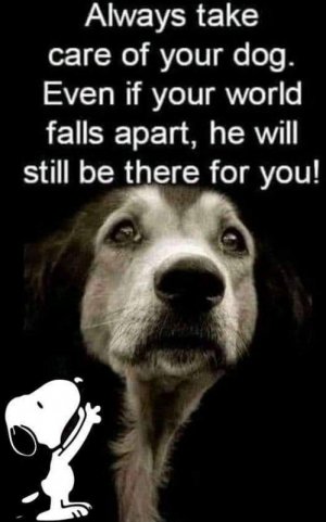 FB_IMG_1670820020898.jpg