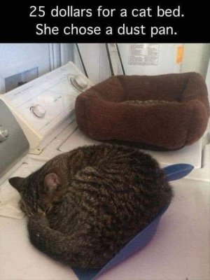 FB_IMG_1672291661485.jpg