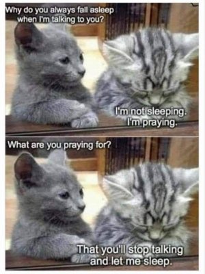 FB_IMG_1670616015151.jpg