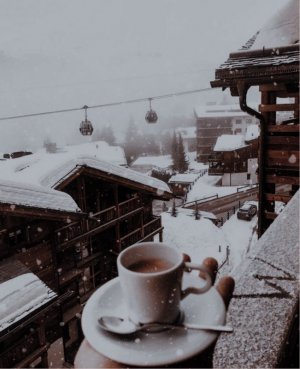 1F1D09D0-DB00-4B1E-BA77-00664036DE03.jpeg