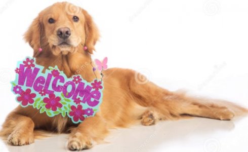 welcome dog.jpg