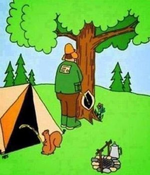 squirrel.jpg