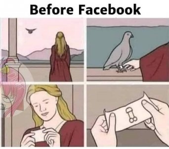 before.jpg