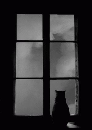 01.gif