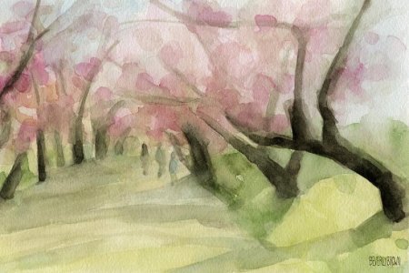 watercolor-painting-of-cherry-blossom-trees-in-central-park-nyc-beverly-brown-prints.jpg