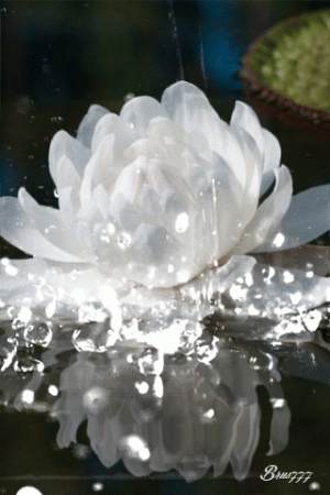 2_qd3UBZb2.gif