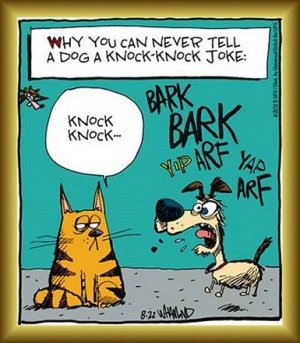 knock knock.jpg