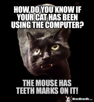 bc535859849dccb3b2ff54f55c69f03d.jpg