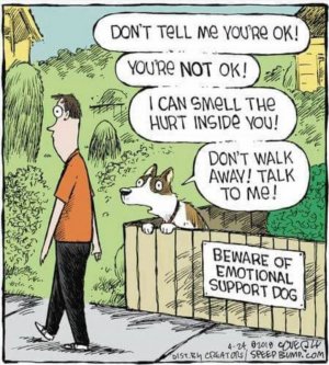 emotionalsupdog.jpg