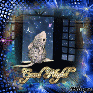 729d2b03928b957197ac35f2b5a8a6d1[1].gif