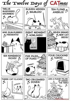 12 days of catmass.jpg
