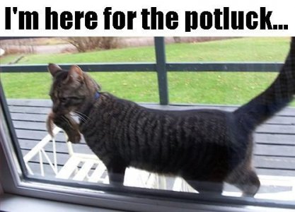 potluck.jpg