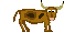 cow dung.gif