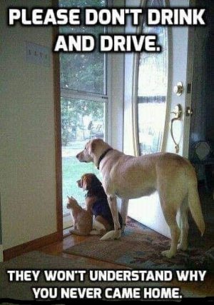 drink and drive.jpg