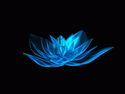 6033c875fb7859b02adeb29d85542b2d.gif
