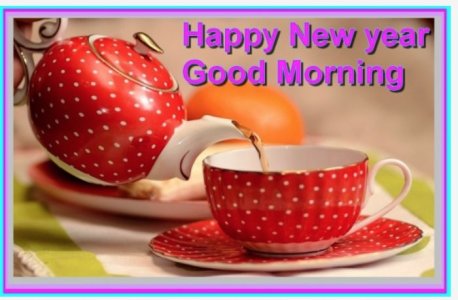 New YearGoosdmorn..jpg