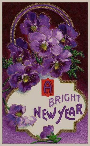 violets.jpg