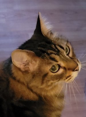 275412736_10166204533055274_7226163384225214389_n (2).jpg