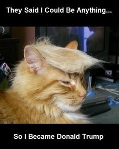 trump.jpg