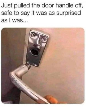 A722F4BD-EDC8-4719-870F-981DA4B7A1D0.jpeg