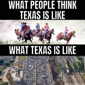 Like_Texas_1672437144242.jpg