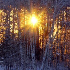 winter-sun.jpg