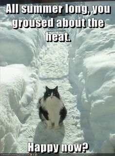snow.jpg