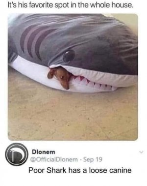 F0BC9731-236B-494E-9CFA-12ECB40C71A9.jpeg