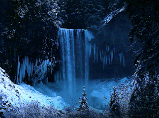 Tumblr_l_220439870106442.gif