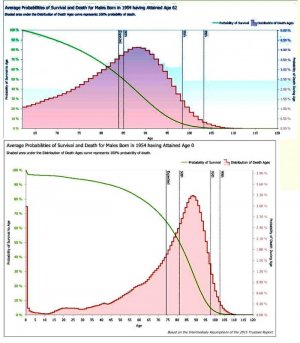 STATSA.jpg
