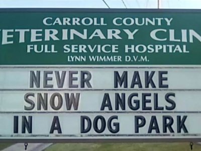 funny-vet-signs9.jpg