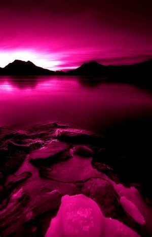 magenta.jpeg