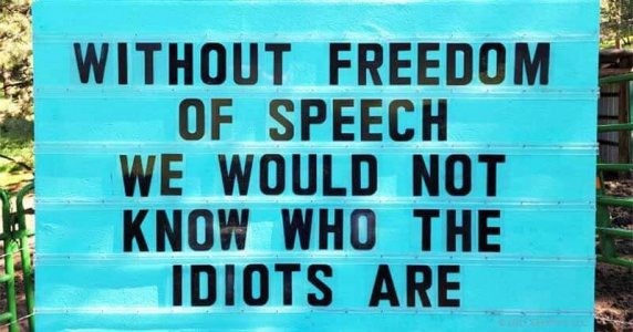 Idiots.jpg