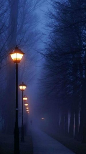 649221-foggy-winter-night-wallpaper.jpg