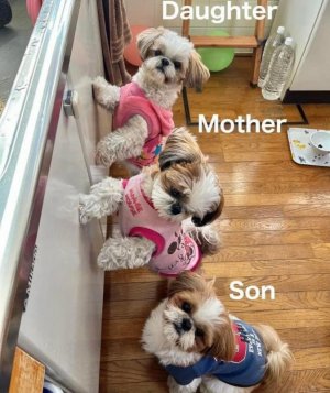 314B4B1F-D85E-4250-9DB9-DD07D8DDA2D7.jpeg