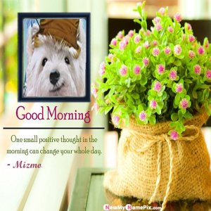 good morning mizmo.jpg