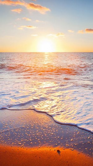HD-wallpaper-golden-beach-sunrise-beach-life-love-nature-peace-sea-sky-sun-sunrise-thumbnail.jpg