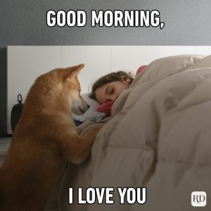 Good-morning-I-love-you.jpg