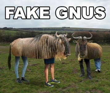 fake_gnus.jpg