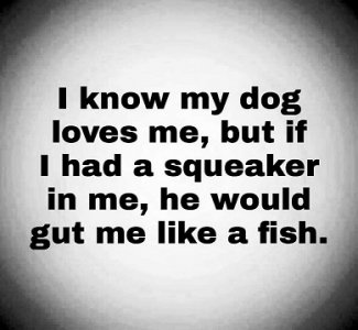 squeaker.jpg
