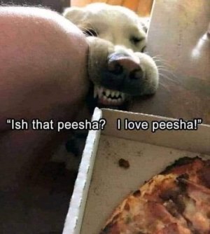 FB_IMG_1671492540021.jpg