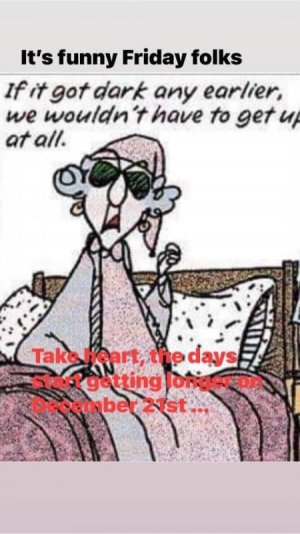 FB_IMG_1671229459378.jpg