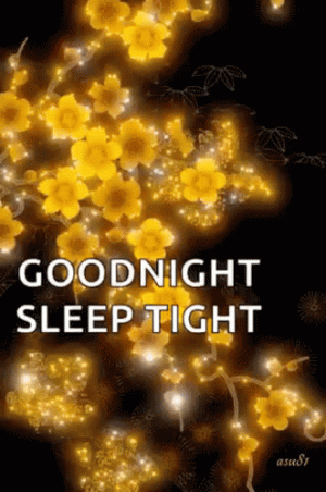 good-night-sleep-tight (1).gif