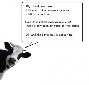 cow3.jpg