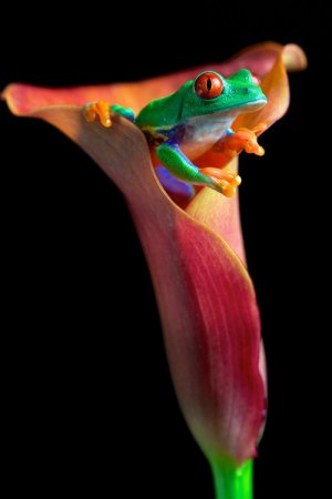 Tumblr_l_82722011617409.jpg