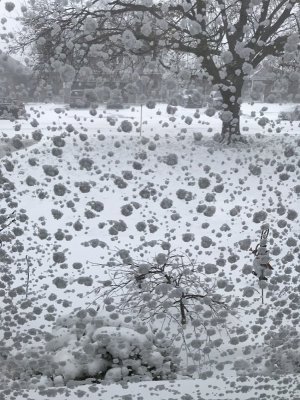 1 Snow.jpg