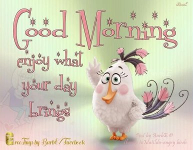 0111f6db8082f1d7b4a98f186ee0d716[1].jpg
